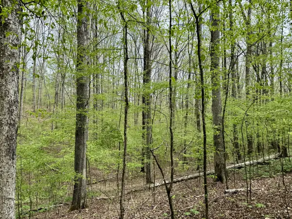 0 W Hunt Hollow Rd, Westpoint, TN 38486