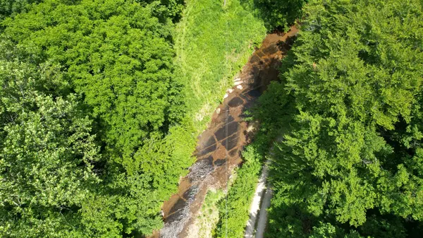 0 W Hunt Hollow Rd, Westpoint, TN 38486