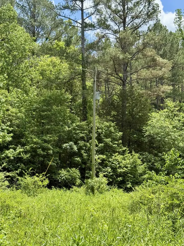 0 W Hunt Hollow Rd, Westpoint, TN 38486
