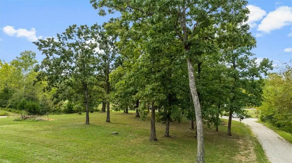 119 Sydney LN, Gravois Mills, MO 65037