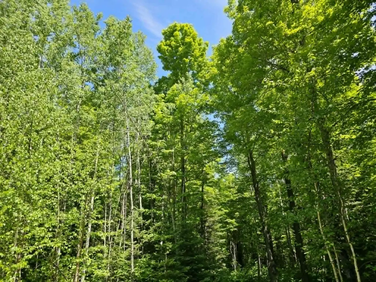 W HERZOG RD, Iron Mountain, MI 49801