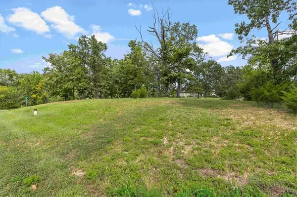 119 Sydney LN, Gravois Mills, MO 65037