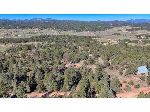 91 Utah, Florissant, CO 80816