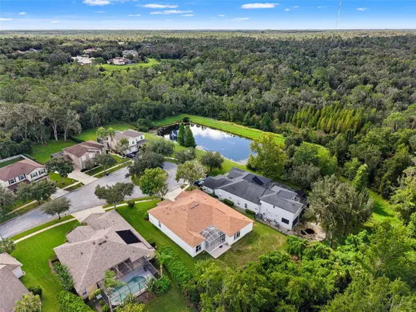 6111 HERONCREST CT, Lithia, FL 33547