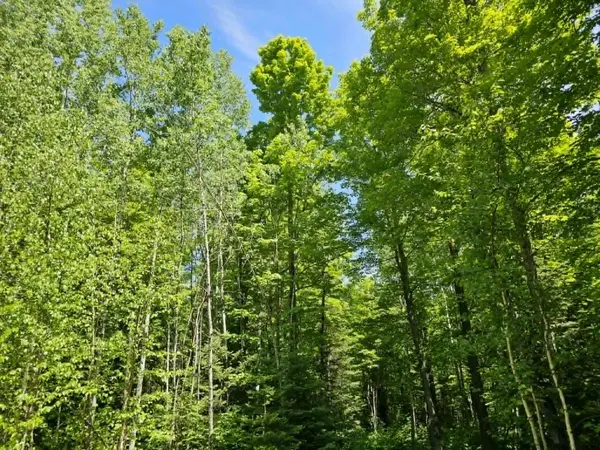 W HERZOG RD,  Iron Mountain,  MI 49801