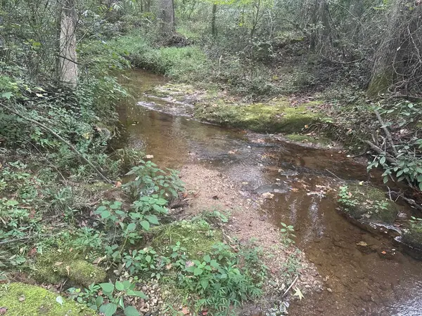 290 Burnetts RD, Chesnee, SC 29323