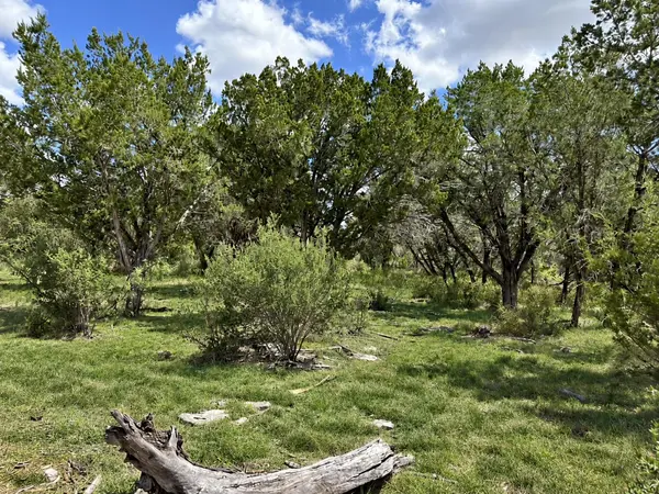 Lot 53 Park View DR, Marble Falls, TX 78654