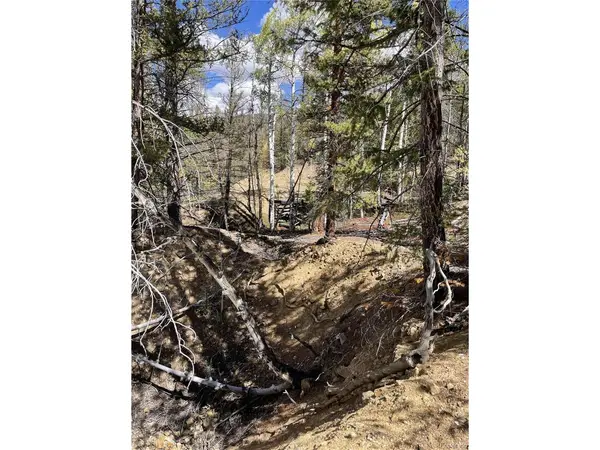 0 County Road 396, Granite, CO 81228