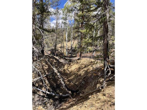 0 County Road 396, Granite, CO 81228