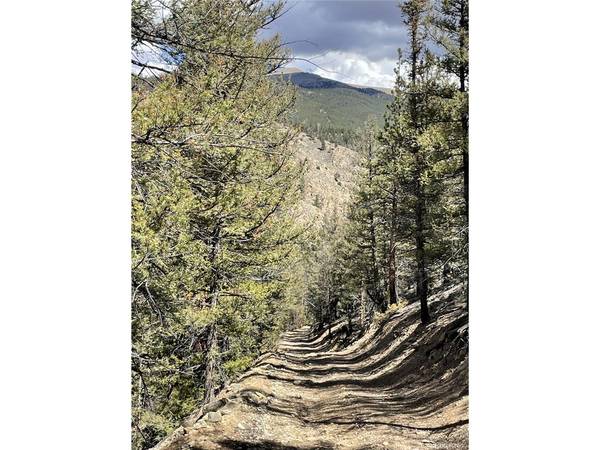 0 County Road 396, Granite, CO 81228