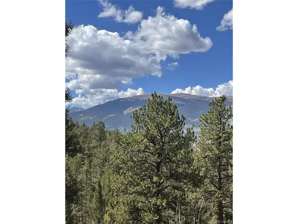 0 County Road 396, Granite, CO 81228