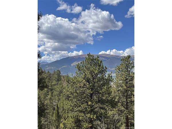 0 County Road 396, Granite, CO 81228