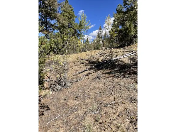 0 County Road 396, Granite, CO 81228
