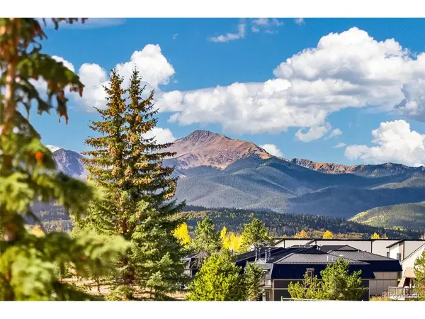 382 County Road 832 #11-6, Fraser, CO 80442