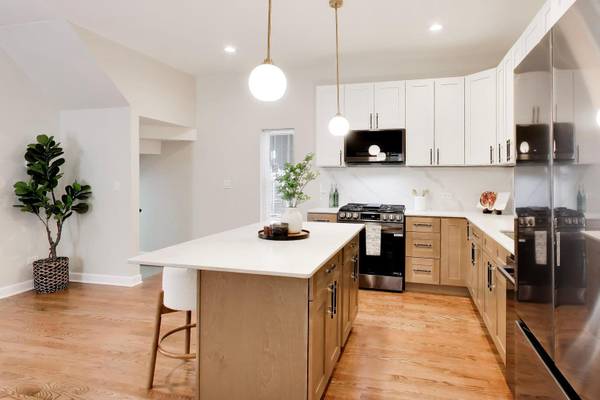 1033 S Claremont AVE, Chicago, IL 60612