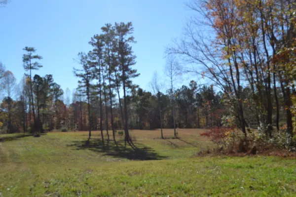 158 B Nature Trail Lane, Red Boiling Springs, TN 37150