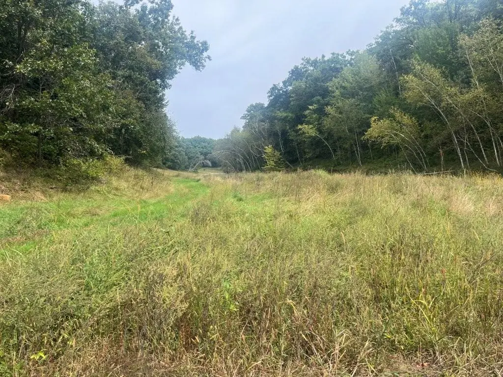 TBD Claire Rd, Taylor, WI 54659