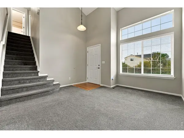 4382 E Andover, Castle Rock, CO 80104