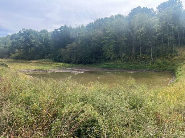 TBD Claire Rd, Taylor, WI 54659