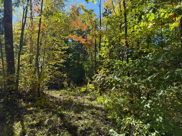tbd 110th, Sturgeon Lake, MN 55783