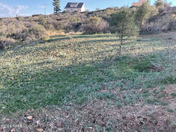 18207 S Tawny LN, Peeples Valley, AZ 86332