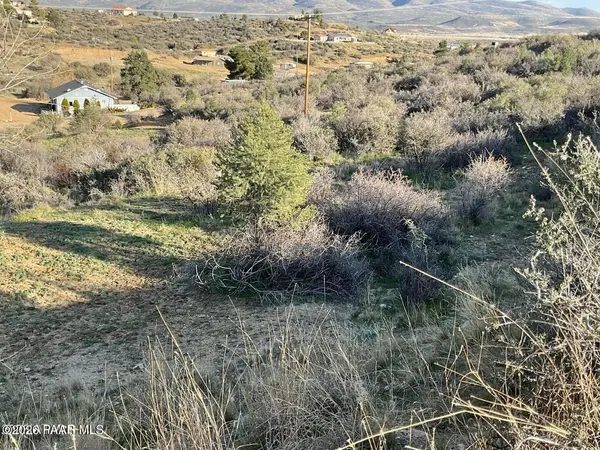 18207 S Tawny LN, Peeples Valley, AZ 86332