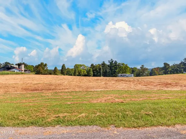 3 Mullins Chapel Road, Dandridge, TN 37725