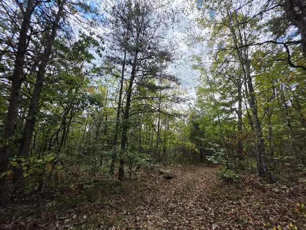 9 Myers Town Road, Beersheba Springs, TN 37305