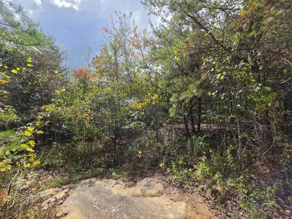 9 Myers Town Road, Beersheba Springs, TN 37305