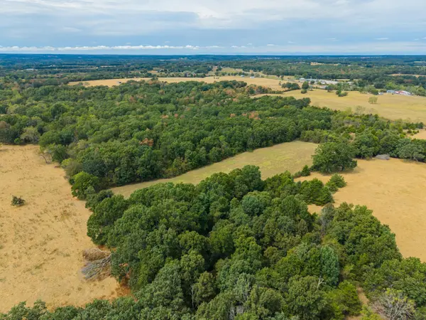 000 Highway 5, Hartville, MO 65667