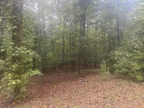 276 & 280 Burnetts RD, Chesnee, SC 29323