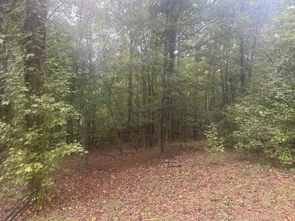 276 & 280 Burnetts RD, Chesnee, SC 29323