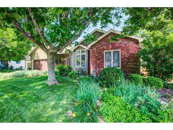 6354 Buchanan, Fort Collins, CO 80525