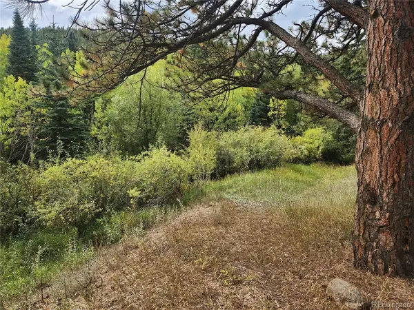 531 Caribou, Nederland, CO 80466