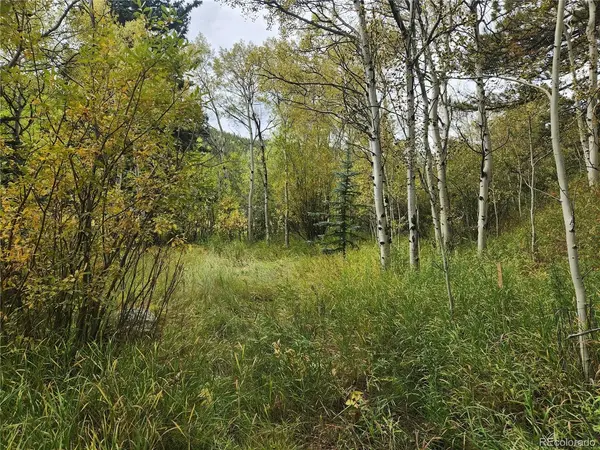 531 Caribou, Nederland, CO 80466