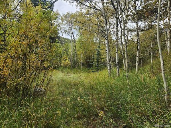 531 Caribou, Nederland, CO 80466