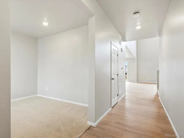 1609 Rumley Creek, Windsor, CO 80550