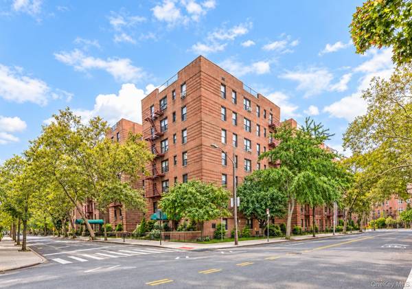61 Oliver ST #4D, Brooklyn, NY 11209