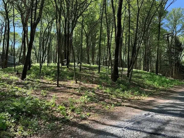 Lakeview DR, Pawling, NY 12564