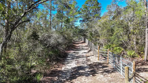 6646 N PERCALE TER, Dunnellon, FL 34433