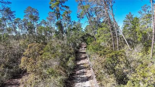 6646 N PERCALE TER, Dunnellon, FL 34433