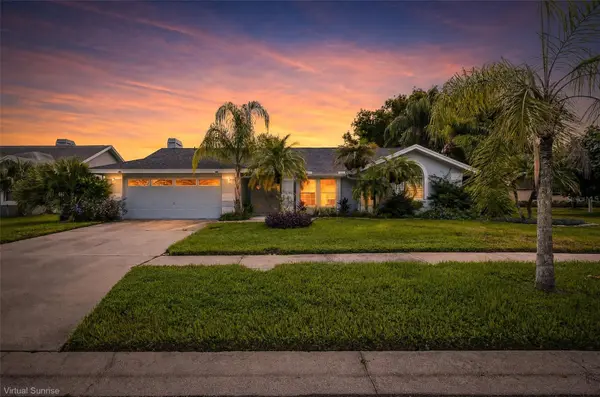 1775 STABLE TRL, Palm Harbor, FL 34685