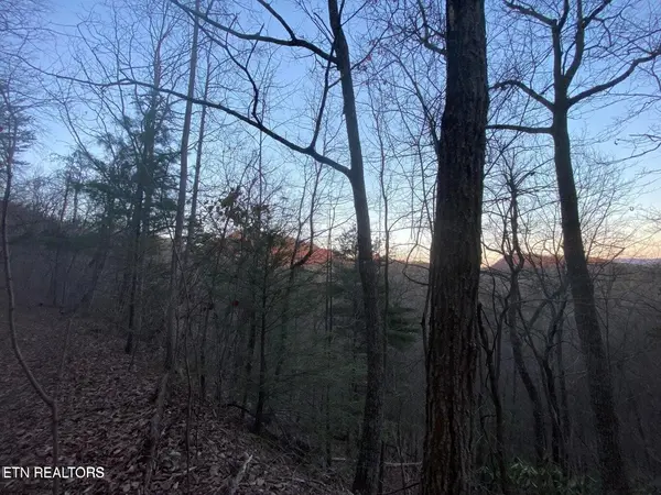 35 Elderberry Drive, Sevierville, TN 37876