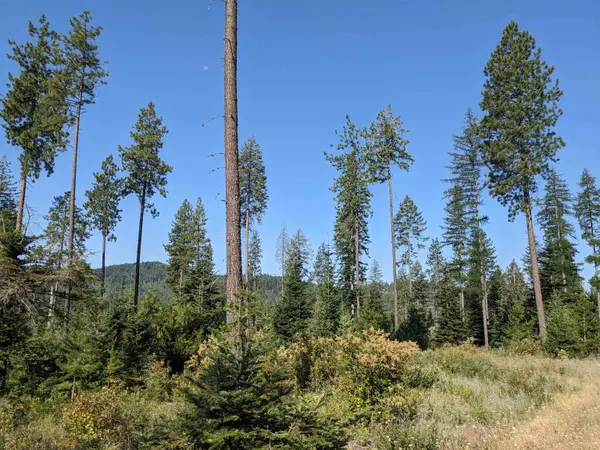 NKN Lot 1 & 2 Veit Rd, Newport, WA 99156