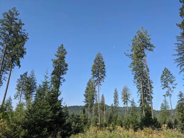 NKN Lot 1 & 2 Veit Rd, Newport, WA 99156