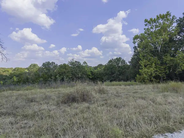 Lot 39& 40 Regal Heights Lane, Galena, MO 65656