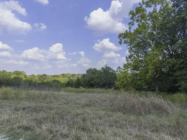 Lot 39& 40 Regal Heights Lane, Galena, MO 65656
