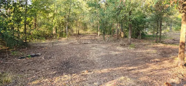 194 Fm 2104, Smithville, TX 78957