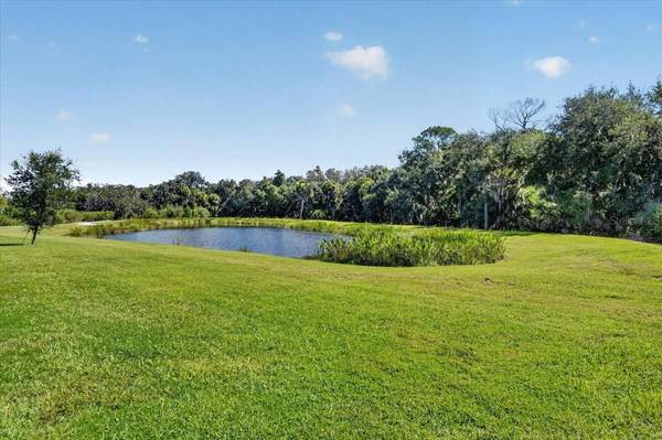 10203 MILKY WAY CIR, Sarasota, FL, 34241 photo 48