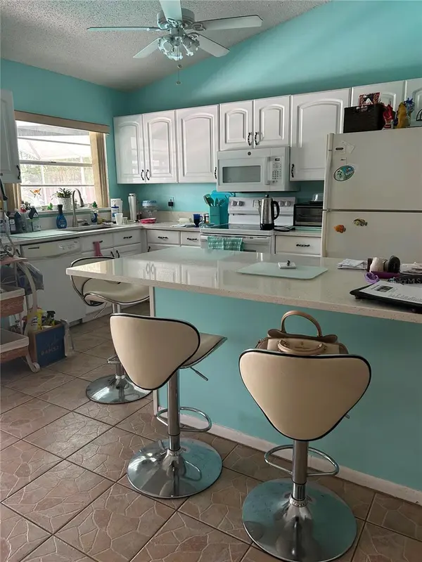 12016 SAFFRON CT, Orlando, FL 32837